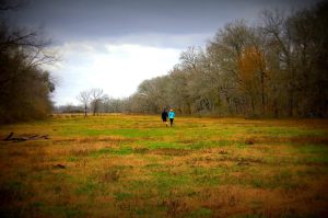 1487861_795397060476114_1839285398_o